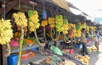 Der Obstmarkt in Galle