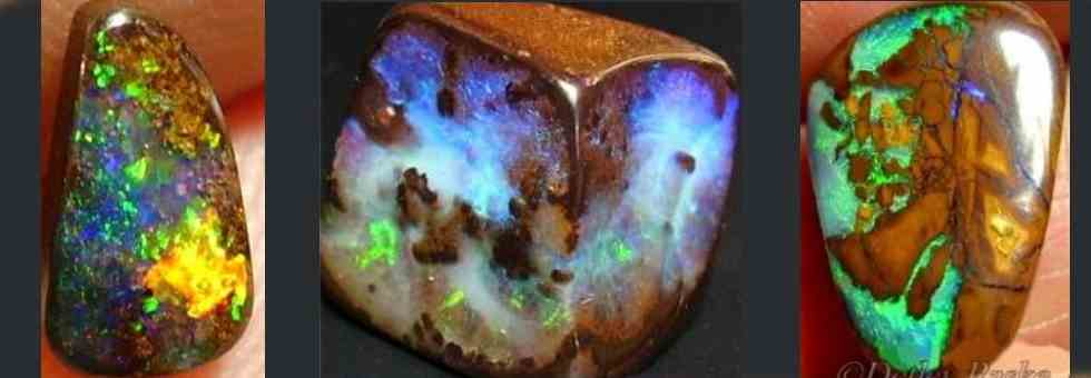 Boulder Opale haben viele Liebhaber