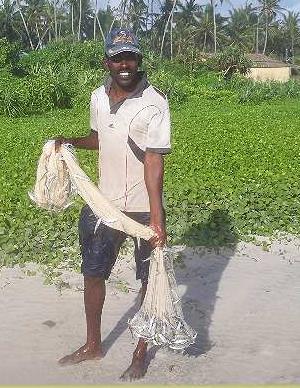 Fischer der vom Strand aus sein Netz wirft