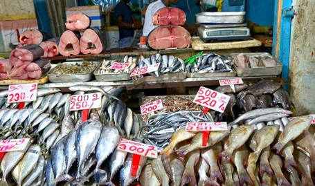 Große Auswahl am Fischstand