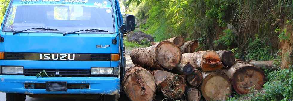 Holztransport versperrt die Straße, Transfer Zeit nicht zu knapp bemessen.