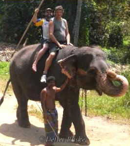 Karsten und Stefan beim Elefantenreiten