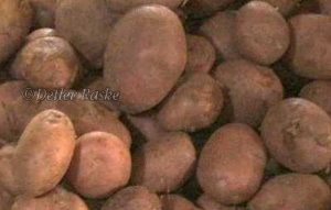 Rote Kartoffel aus Indien