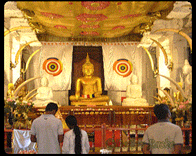 goldener Buddha im Zanhtempel