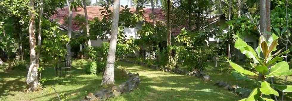 Villa Sunshine Ahangama - so langsam wird der Garten