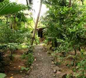 Weg durch den Garten zum Cabana